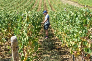 Une prospection toujours aussi indispensable