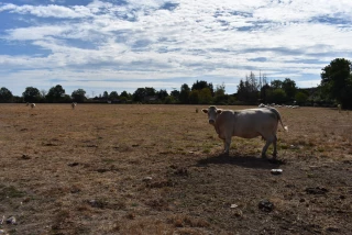 Cette année encore…