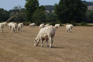 Savoir en tirer les leçons 