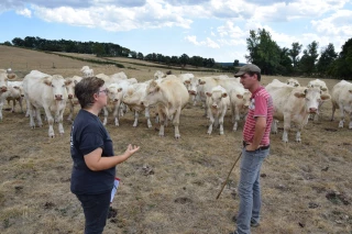Le report d’herbe sur pied est à l’étude en Saône-et-Loire