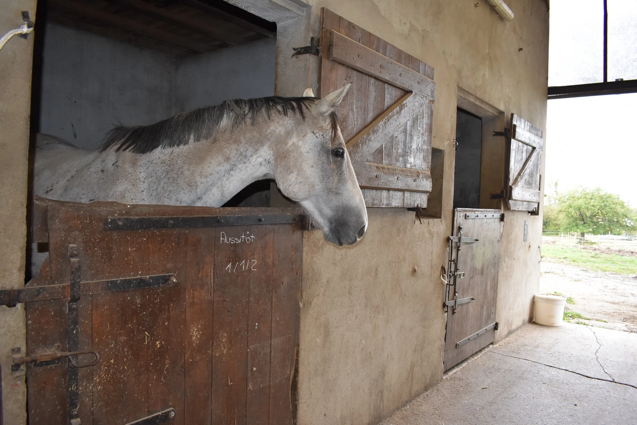 Le recrutement des chevaux 