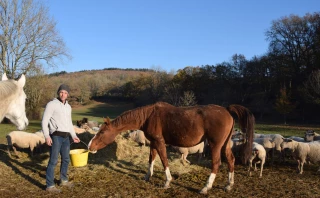 Revenir à ses vallons… et à ses moutons