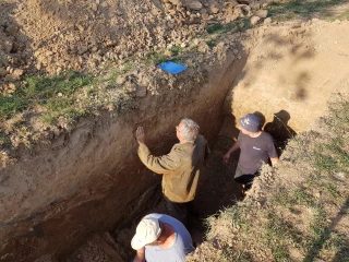 Une solution pour rendre le sol autonome et autofertilisant