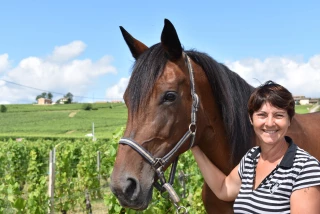 Se balader chevaux au vin !