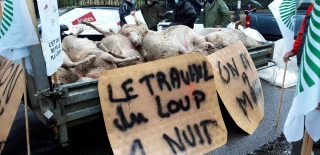 Tout un plan à revoir
