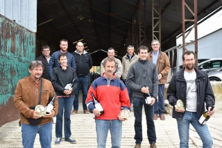 Les meilleurs éleveurs allaitants récompensés 