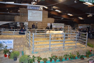 Une vente adaptée au Covid-19