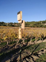 Leur offrir aussi le gîte 