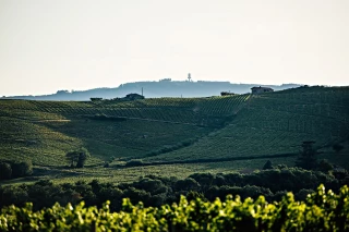 Ressentir-Écouter-Boire : Le vent, le jazz, le vin