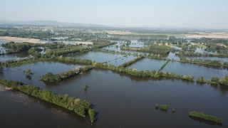 « Le climat a bon dos »