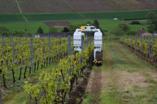 De l’autonomie dans les vignes
