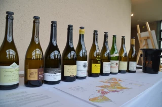Les premiers 1ers crus 