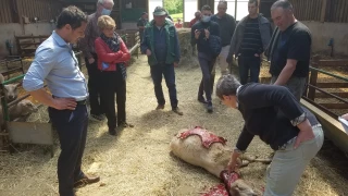 Des contradictions énervantes !