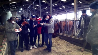 À la rencontre des éleveurs du Clunysois