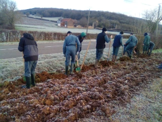 Subtil équilibre entre théorie et pratique