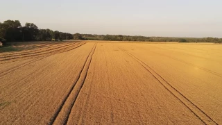 Une campagne moyenne en perspective