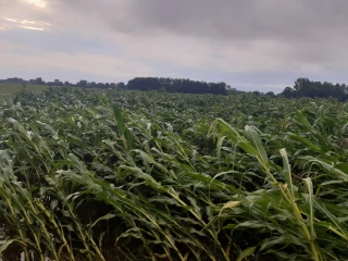 En pleine décrue, un coup de vent terrible