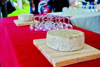 La Cabrache : le Morvan a désormais sa tomme !