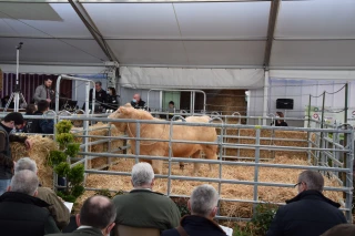 Soulagement et fierté après la réussite de la vente