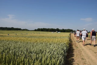 L’après-covid, vu depuis les parcelles