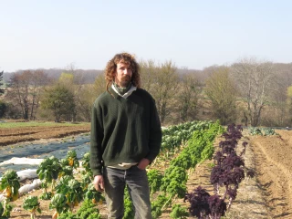 Au jardin des légumes bio 