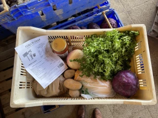 Et hop dans le panier !