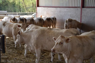 Choisir plutôt que subir la génétique grâce au génotypage