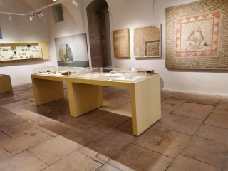 Les découvertes archéologiques à Mâcon, des Gaulois à l'an Mil... 