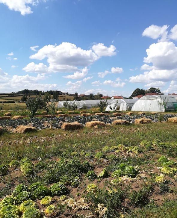 Le Jardin de la Motte accueillait jeudi 27 octobre un après-midi de la Bilo'week dédié au maraîchage.