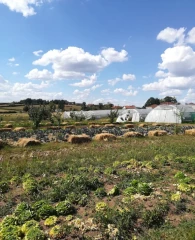 Le Jardin de la Motte accueillait jeudi 27 octobre un après-midi de la Bilo'week dédié au maraîchage.