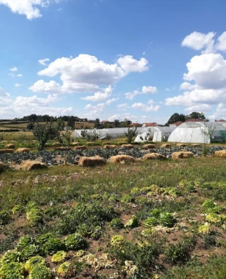 Le Jardin de la Motte accueillait jeudi 27 octobre un après-midi de la Bilo'week dédié au maraîchage.