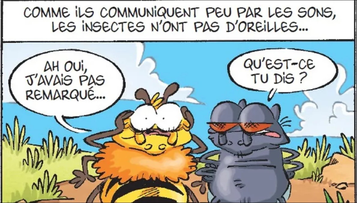 Des insectes drolement pédagogiques.
