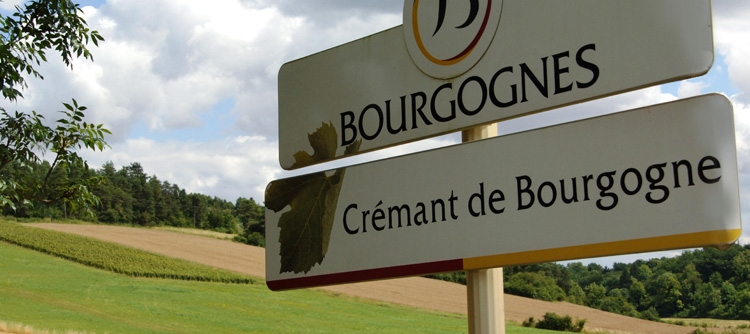 Sur la route des crémants de Bourgogne.