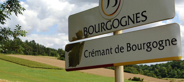 Sur la route des crémants de Bourgogne.