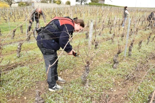 L’assistant qui permet de travailler plus tout en se préservant