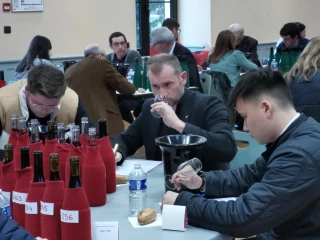 Trois millésimes à déguster pour lancer la promotion de l’appellation vins mâcon