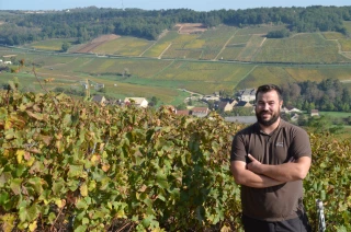 Observer la pureté des terroirs se créer