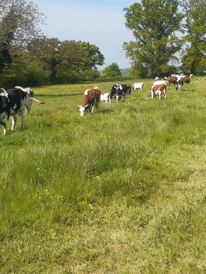 Une conduite raisonnée… mais intense quand même