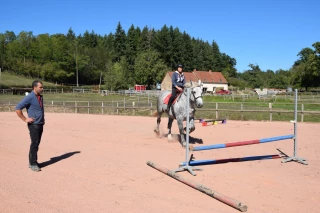 Les percherons, force tranquille et sportive