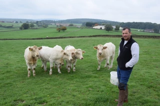 Miser sur des rations équilibrées et viser l’autonomie protéique