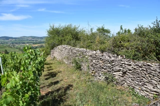 Les murets, pierre angulaire d’un patrimoine