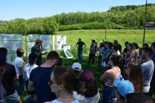 Les travaux démontrent que l’herbe en a encore sous le pied !
