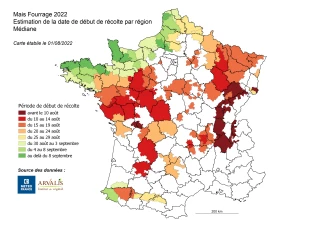 Beaucoup de chantiers avant le 15 août !