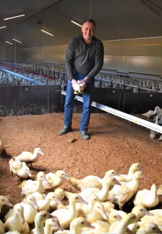 Le confort animal comme base de réussite