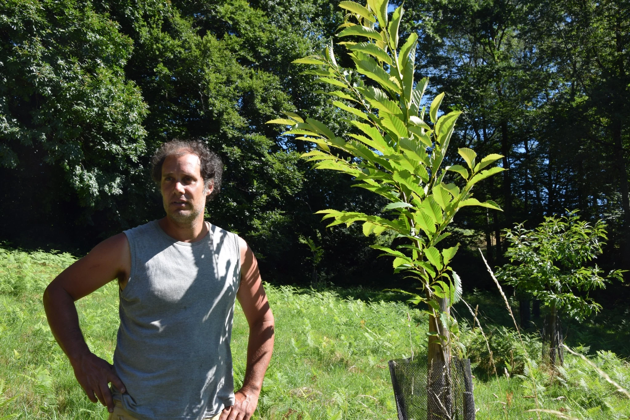 Olivier Sablot à Saint-Léger-sous-Beuvray