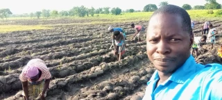 Afantchawo Koudassé une agriculture à l'image de son pays, peu de mécanisation, beaucoup de main d'œuvre et d'agricultrices.