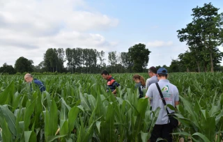 Au programme de la visite "Bout de champ" : cultures de printemps et lutte contre les adventices