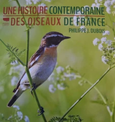 Lire, écouter, voir : les oiseaux prennent la pose 