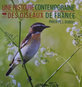 Lire, écouter, voir : les oiseaux prennent la pose 