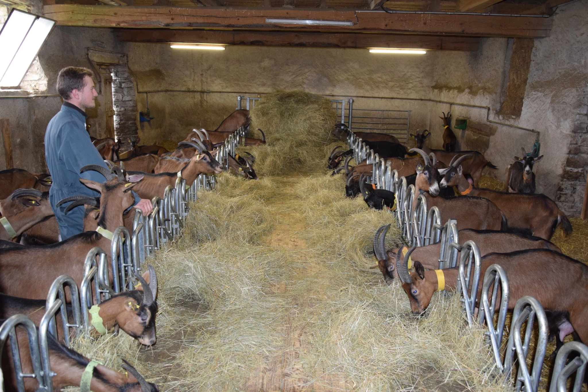 La Ferme des Aubépins ouvre ses portes le 30 avril